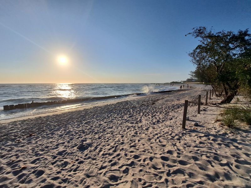 Morning Strategies That Win The Day