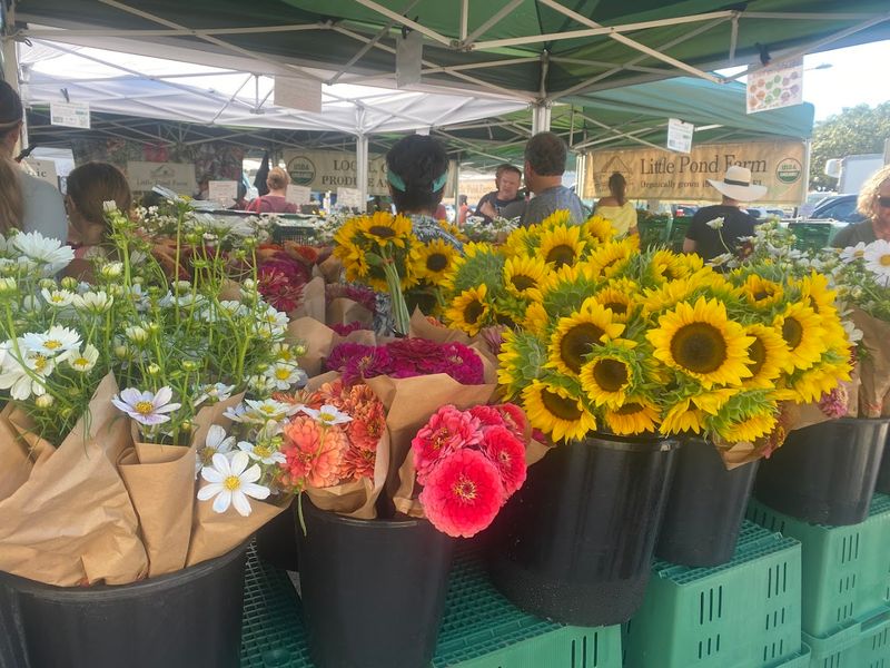 Plants, Flowers, And Unique Botanical Finds