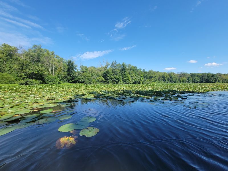 A Warm Water Fishery With An Unusual Pier