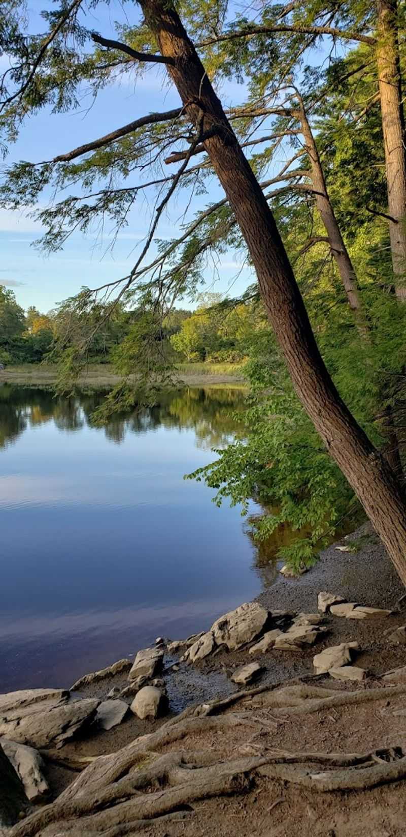 Quiet Views Of The Salmon Falls River
