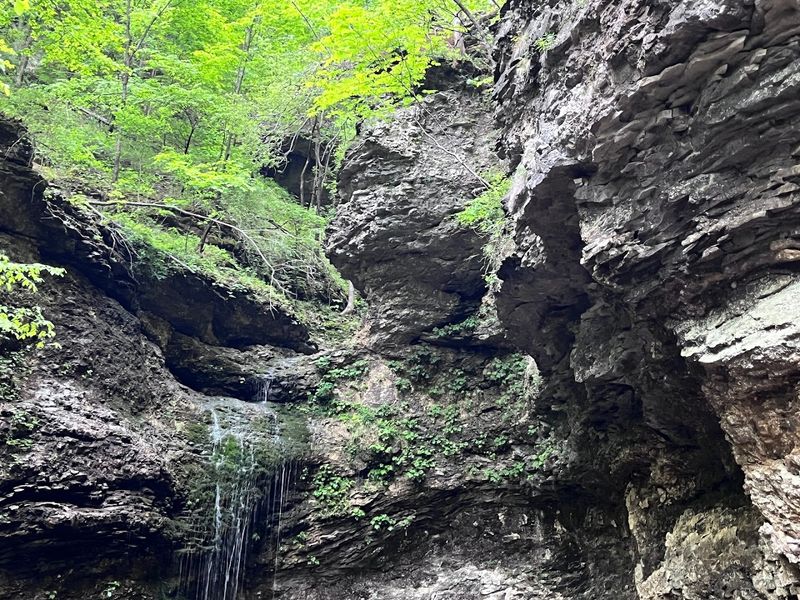 Why This Secret Trail Feels Unlike Anywhere Else