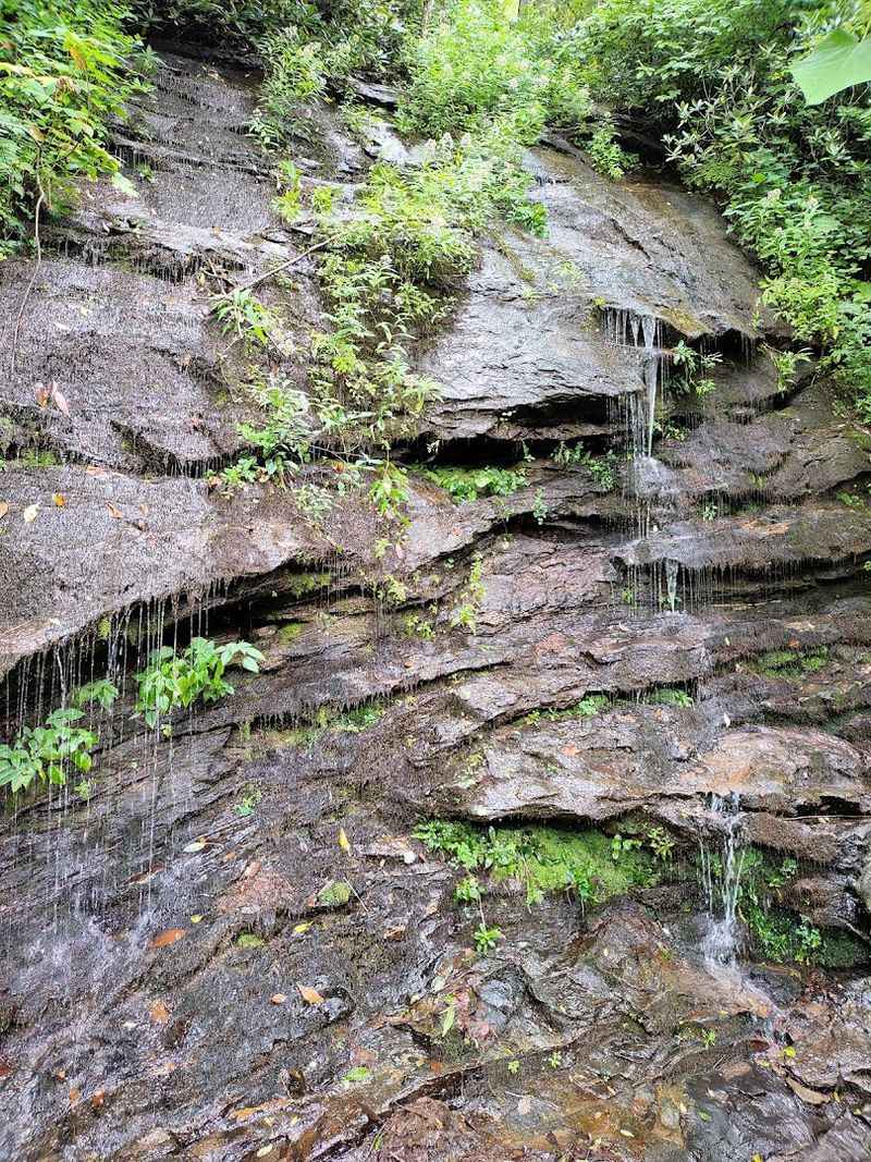A Waterfall That Whispers Instead Of Shouts A Waterfall That Whispers Instead Of Shouts