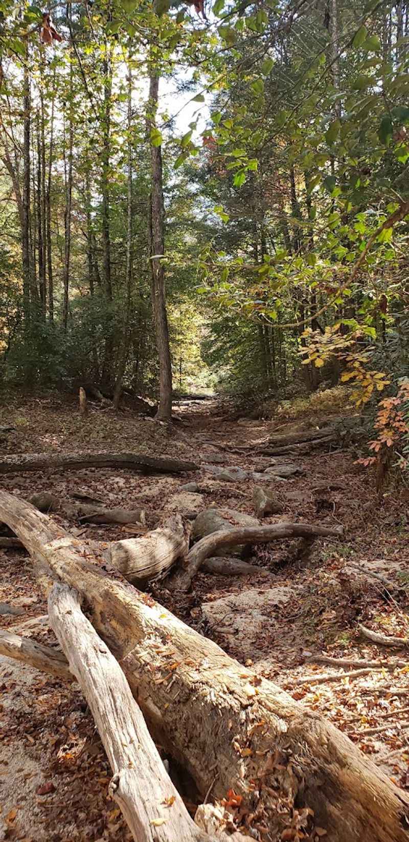 The Trail Distance And What To Expect