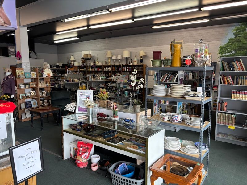 What You Will Actually Find Inside