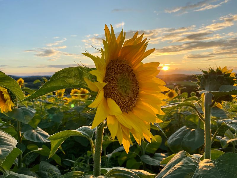 A Welcoming Family Spot In Wyoming County A Welcoming Family Spot In Wyoming County