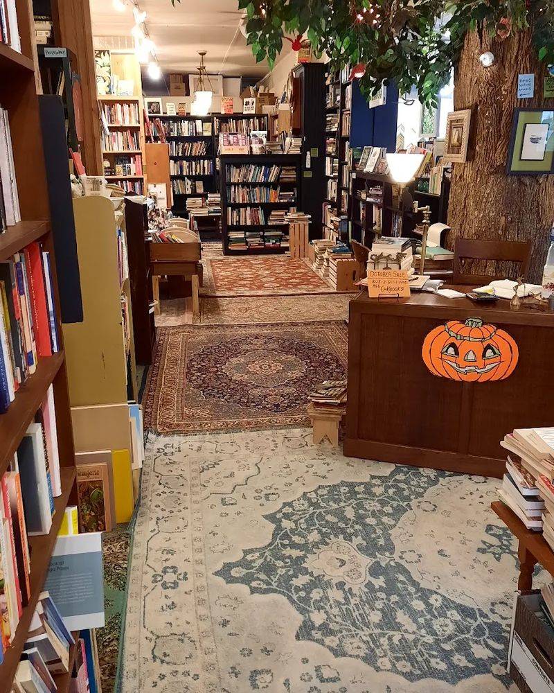A Welcoming Space For Slow Browsing A Welcoming Space For Slow Browsing