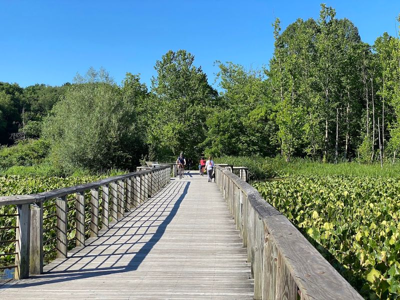 The Boardwalk That Puts You Right in the Middle of It All