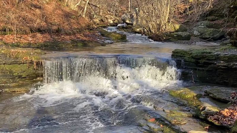 A Wild Creek Path With Secret Cascades