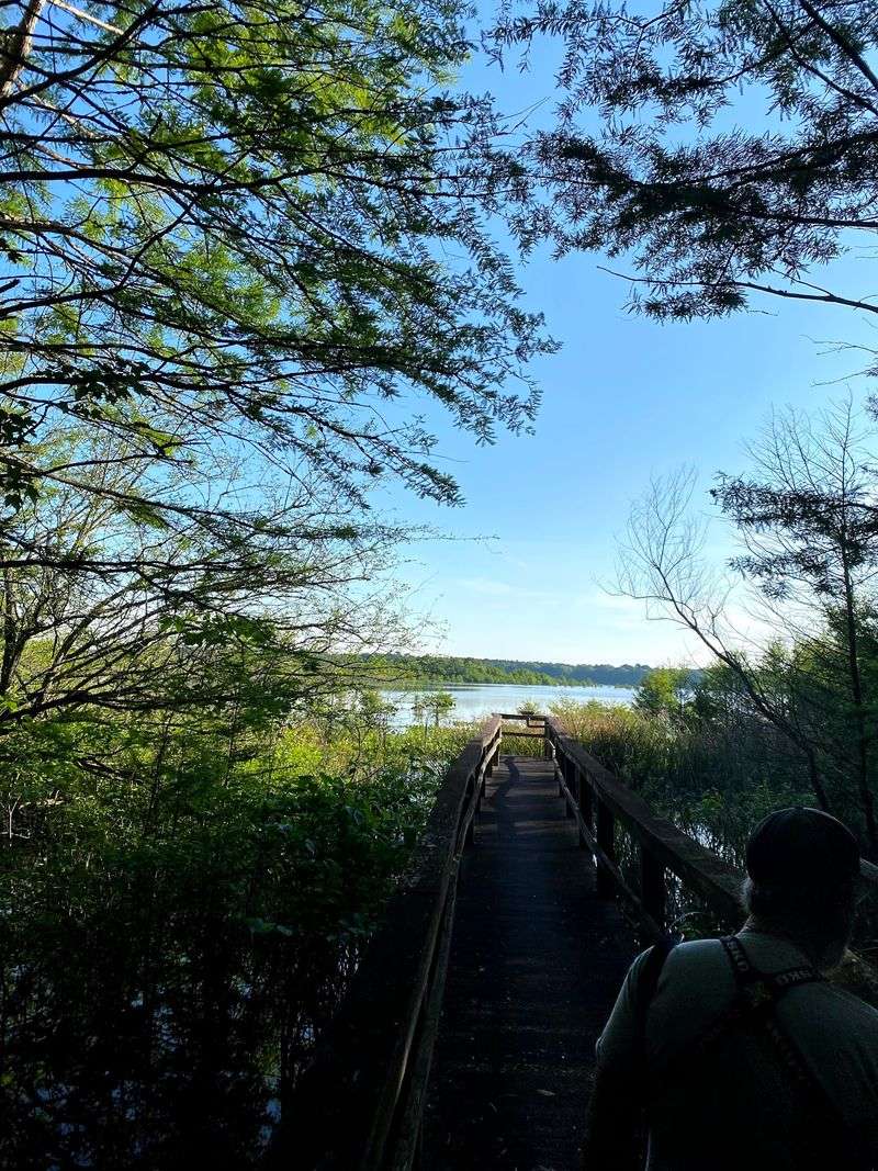 A Wild Kingdom Along Lake Marion