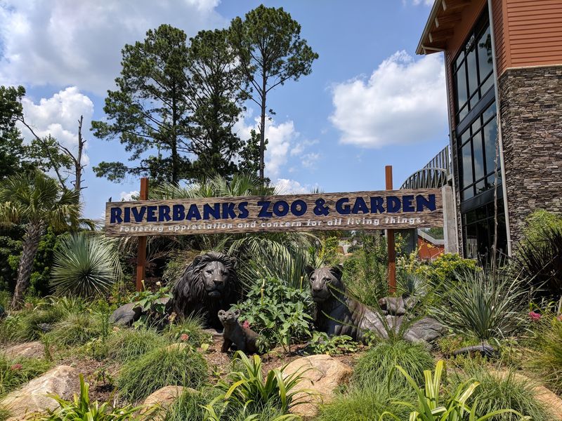 A Wild Kingdom Hiding In Plain Sight Off I-26