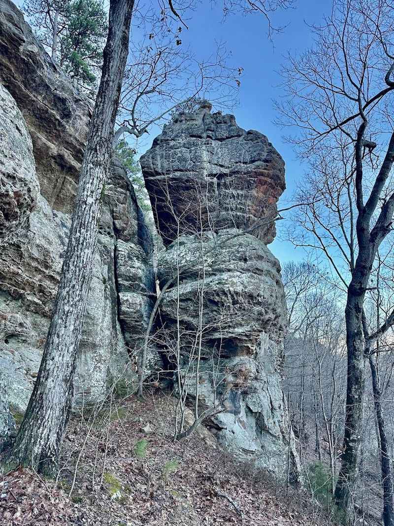 A Wild Ozark Overlook