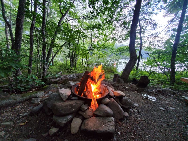 A Wild Side For Extra Peace And Quiet