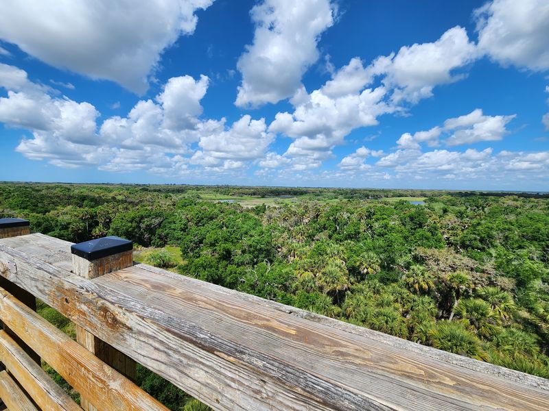 A Wild Space Bigger Than Some Cities