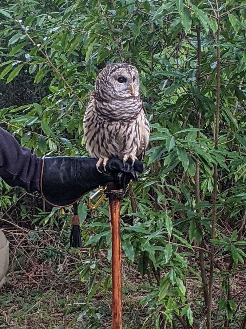 A Wildlife Haven on the Edge of Bainbridge Island
