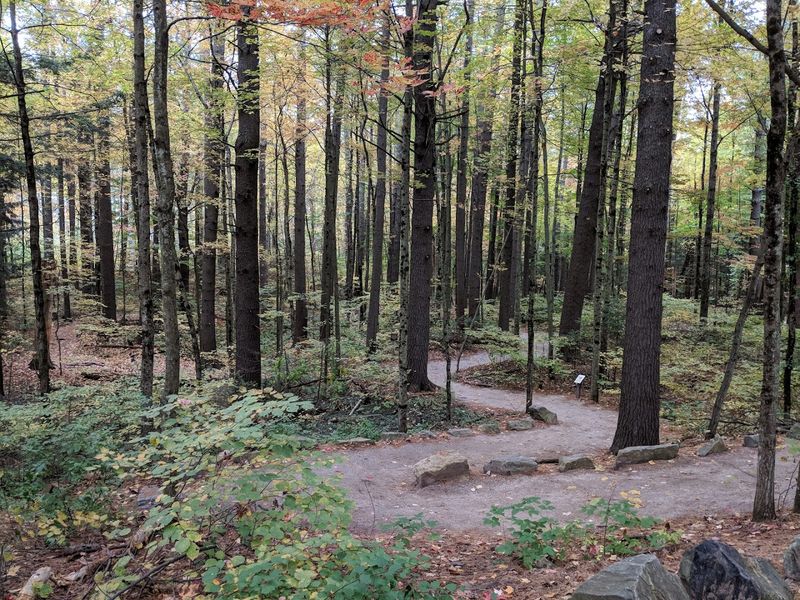 A Wildlife Park Hidden In The Pines