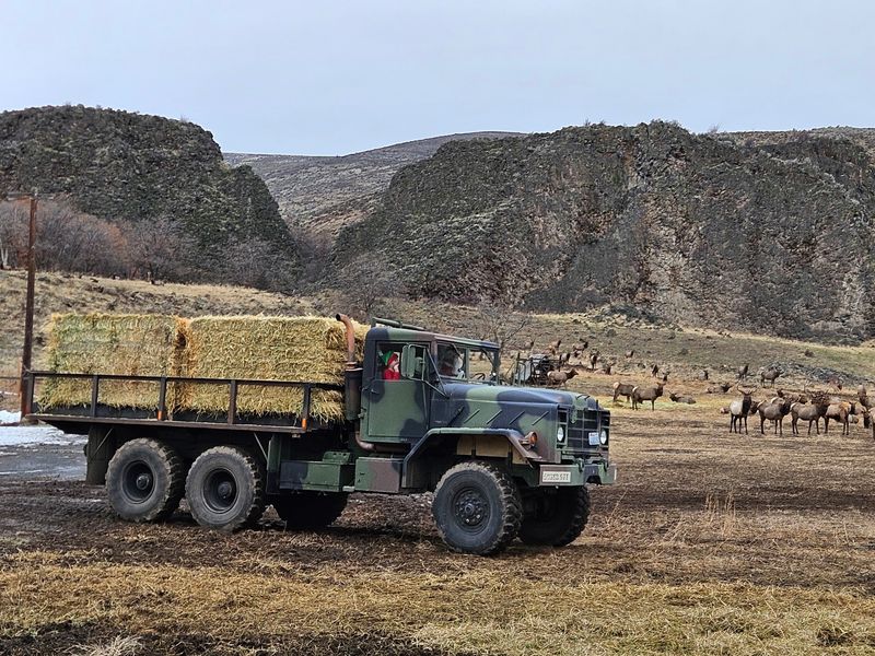 A Winter Feeding Program Born of Hard Seasons