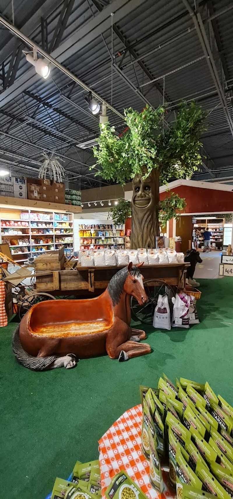Themed Sections That Make Shopping Feel Like Exploring