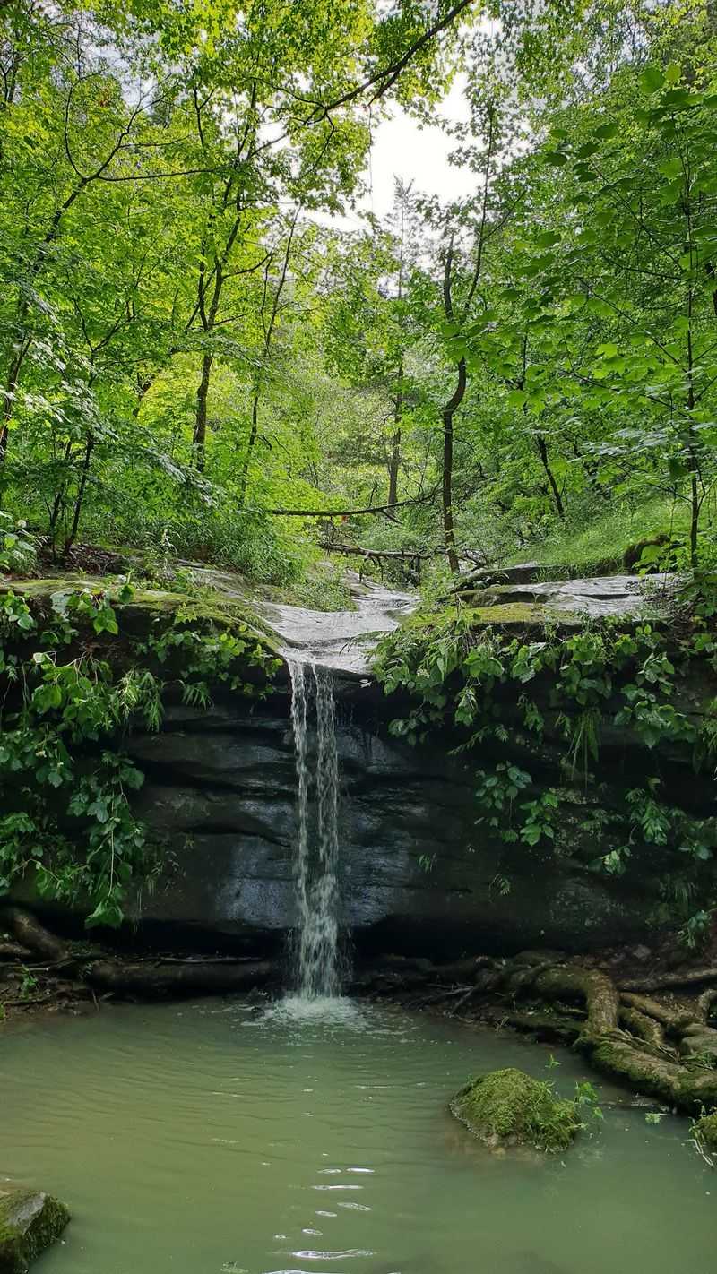 A Wooded Hollow Amid Sandstone Bluffs