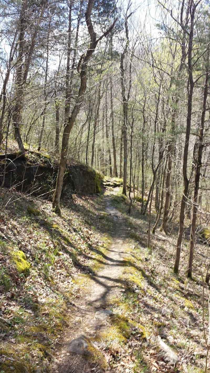 A Wooded Trail Leads Deeper Into The Ozarks