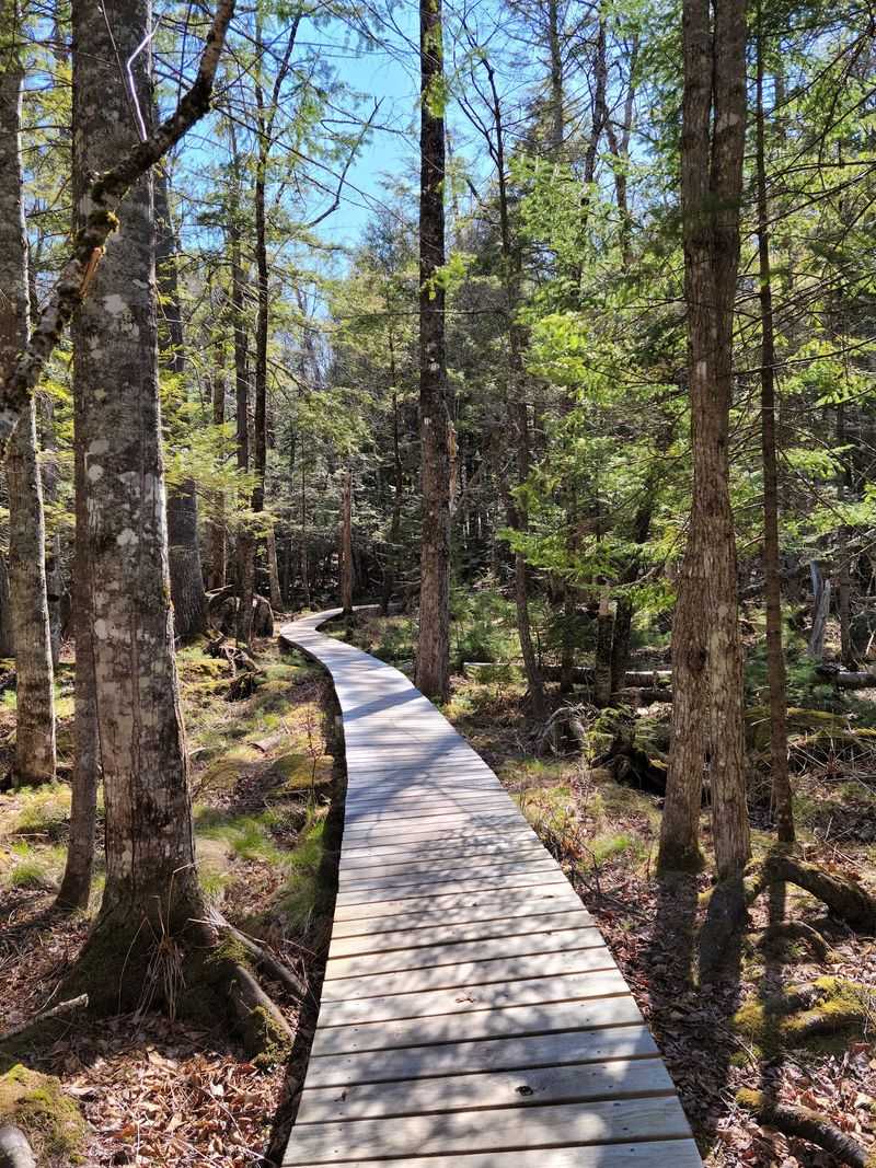 A Woodland Hideaway Behind Downtown Bridgton