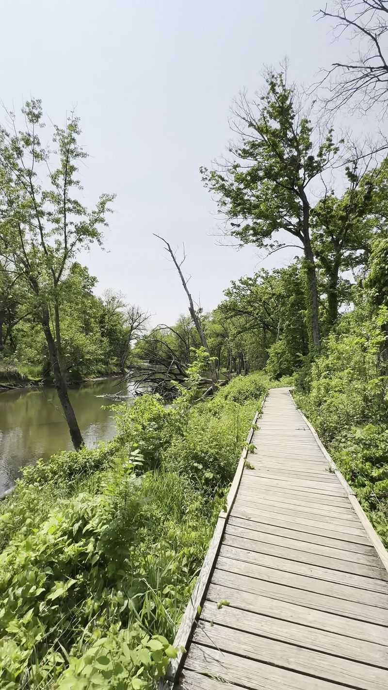 A Woodland Retreat in Riverwoods, Lake County