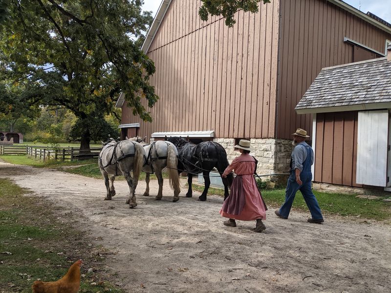 A Working 1890s Farm A Working 1890s Farm