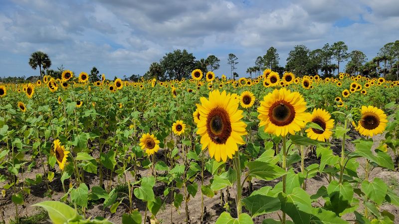 A Working Family Farm Hiding In Plain Sight