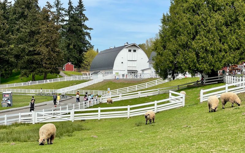 A Working Farm Wrapped Inside a Bellevue Park