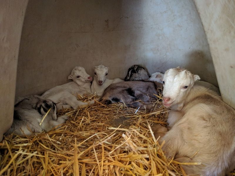 Seasonal Visiting Hours and How To Plan Your Trip Right