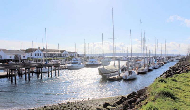 A Working Harbor Full of Wooden Boats