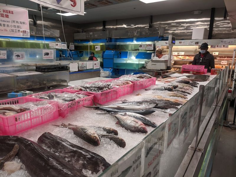 Live Seafood Strategy