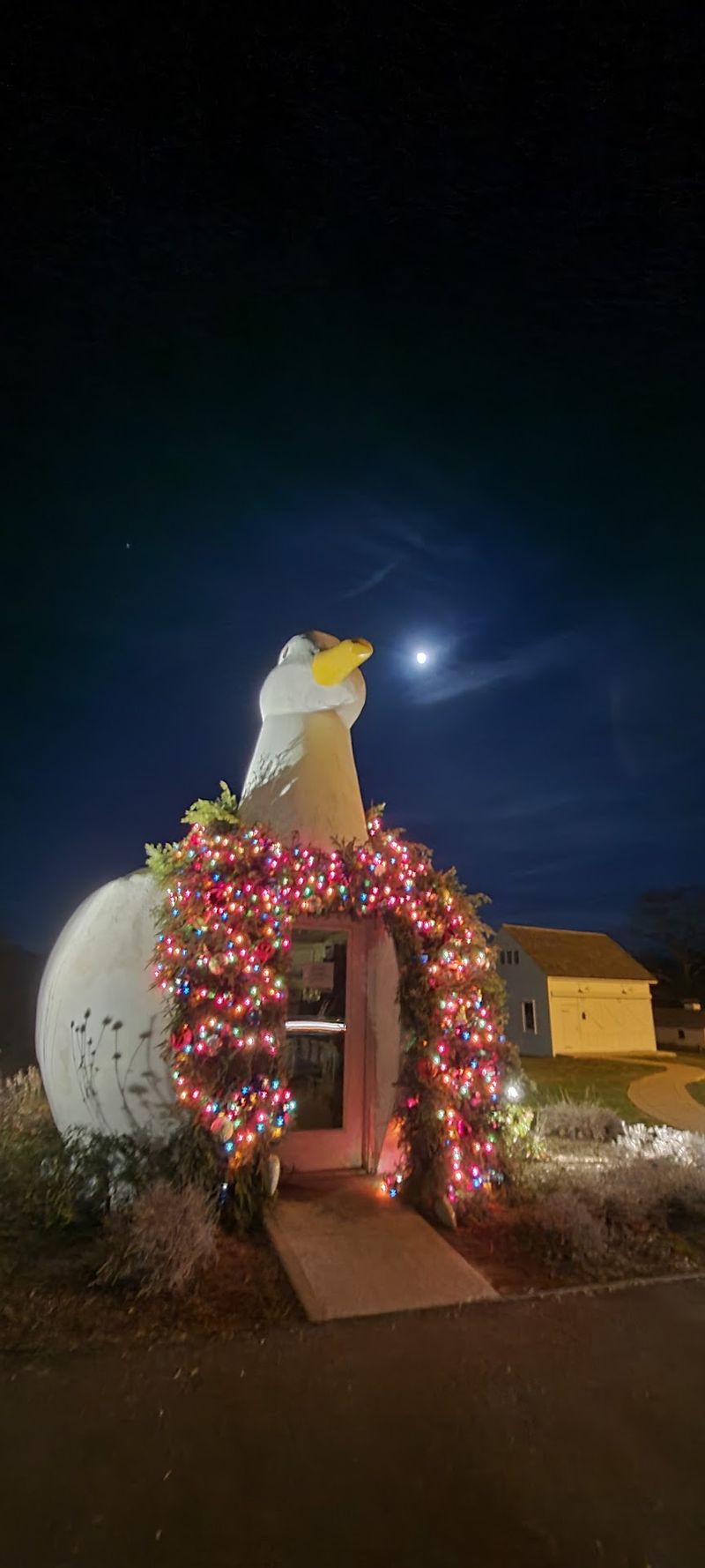 A Wreath Started The Whole Holiday Glow-Up