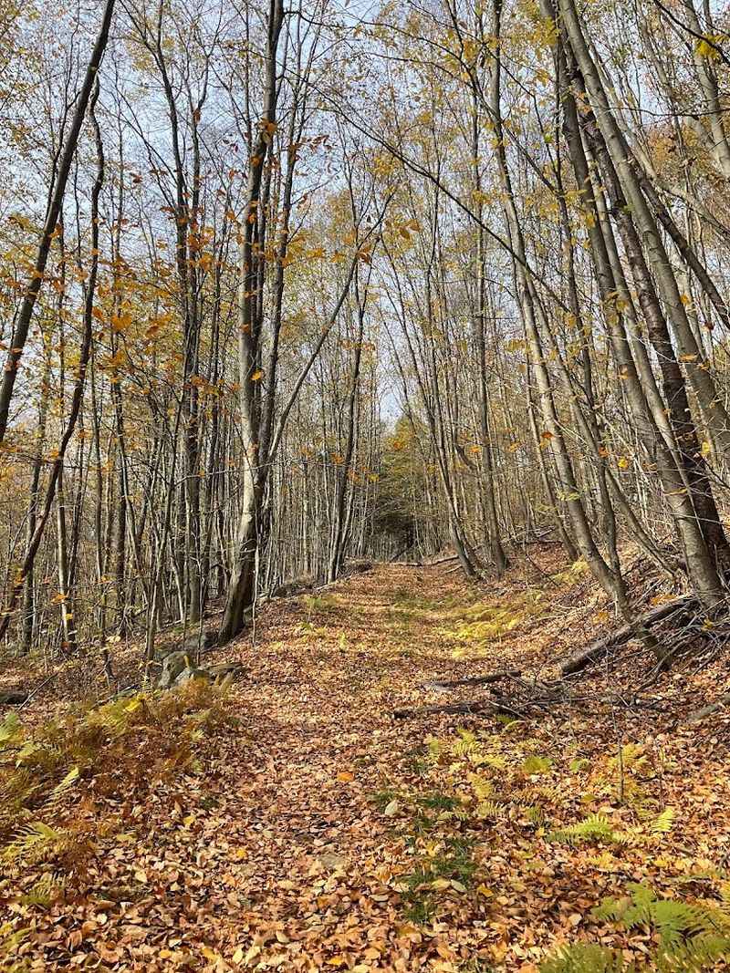 A Resort Town That Refused To Modernize