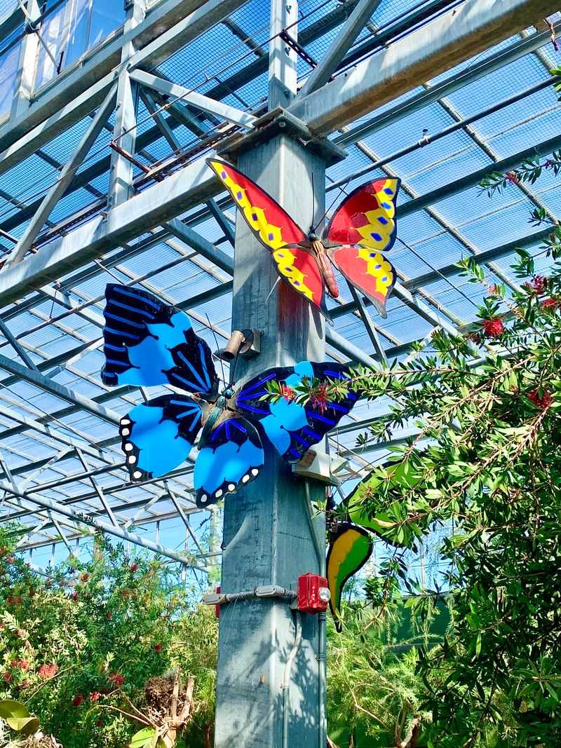 Where Reality Softens