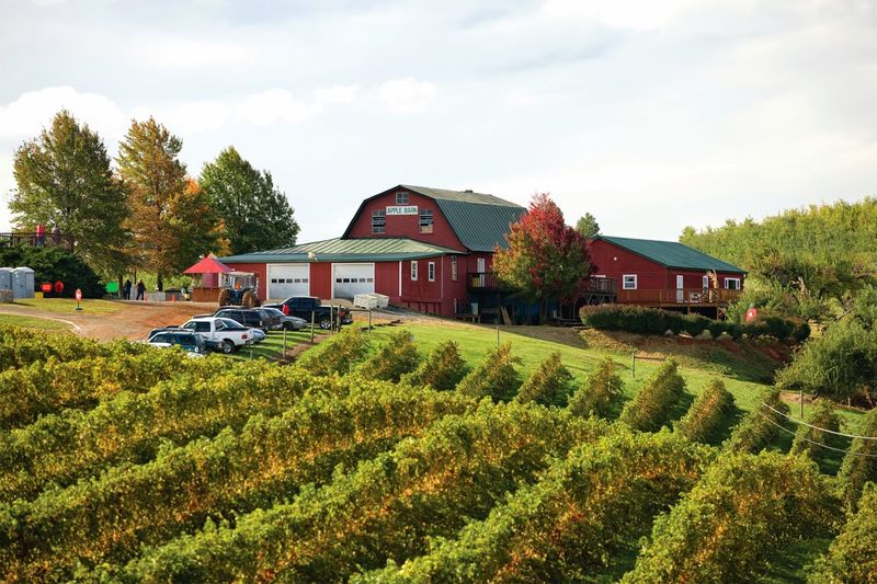 A Year-Round Orchard That Keeps Surprising You