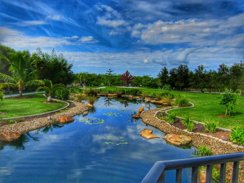 A Young Garden With Big Dreams