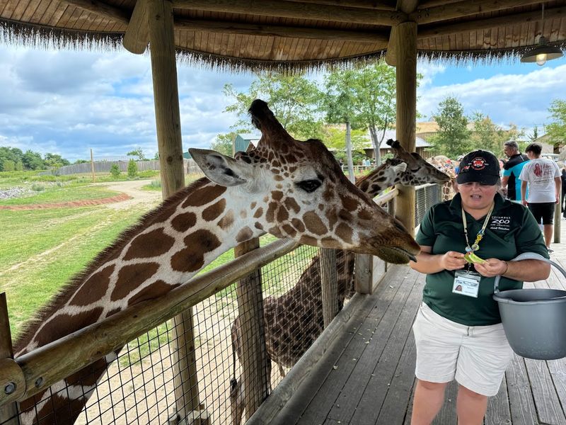 The Africa Region and Its Jaw-Dropping Scale