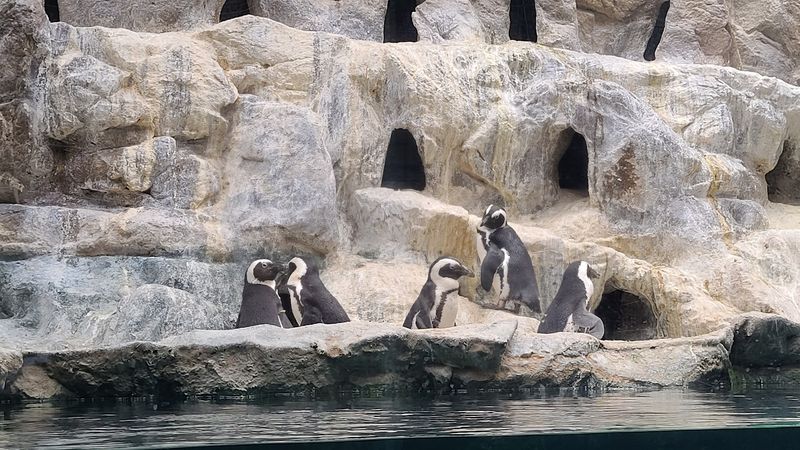 A Zoo Visit That Does Not Demand A Full Day