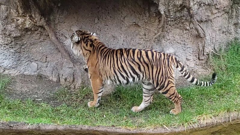 A Zoo and Aquarium on Tacoma's North End