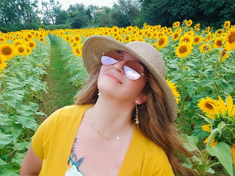 A gentle verdict on the late-summer payoff