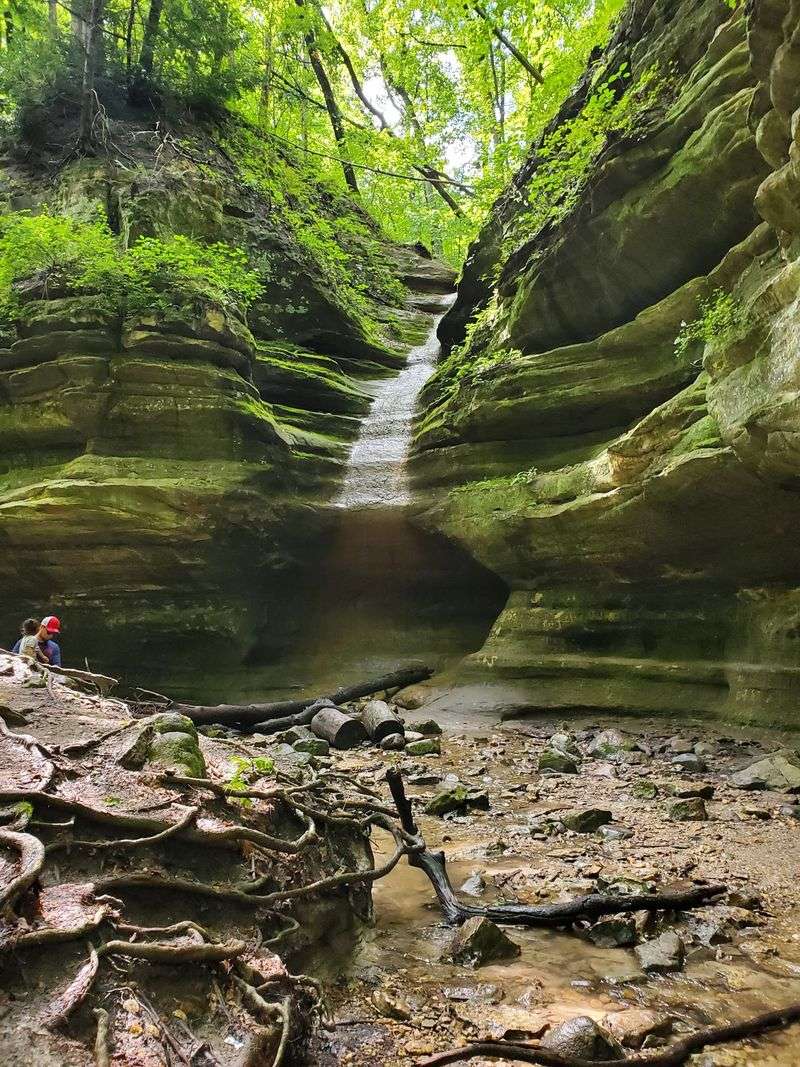 A half-day visit requires choosing the right trail area
