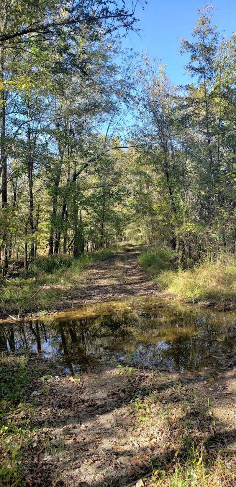 A lesser-known story among hiking spots A lesser-known story among hiking spots