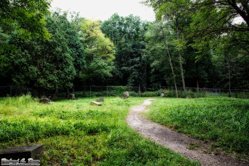 A small grounds with a strong woodland setting