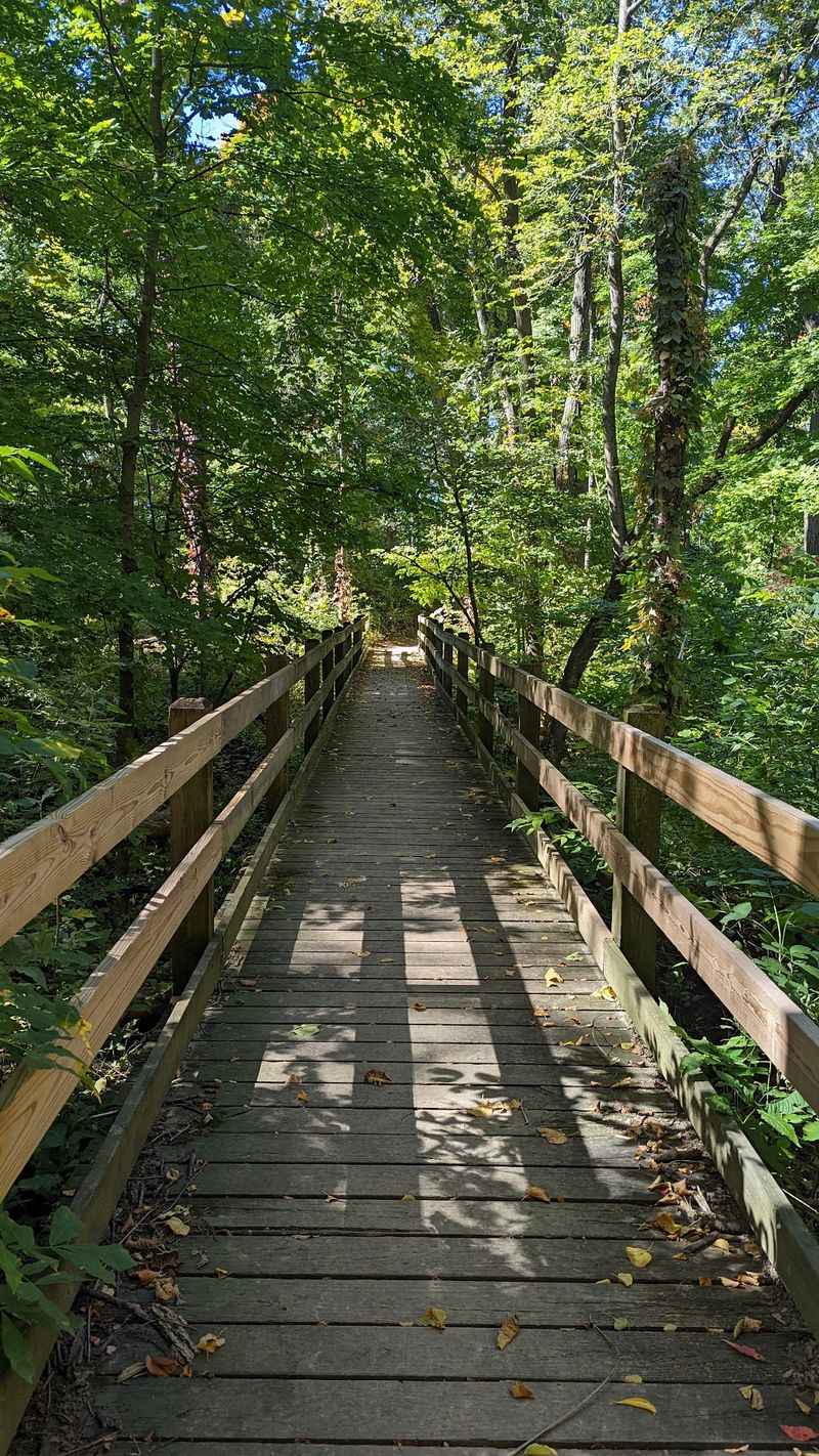 A tucked-away natural area lies beyond Route 38 A tucked-away natural area lies beyond Route 38