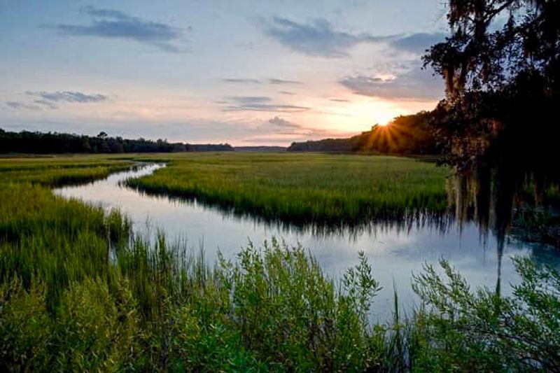 ACE Basin National Wildlife Refuge Is A Hidden Natural Wonder Along The Way