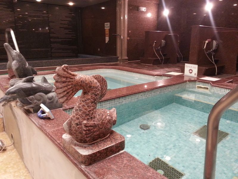 King Spa & Sauna, Niles