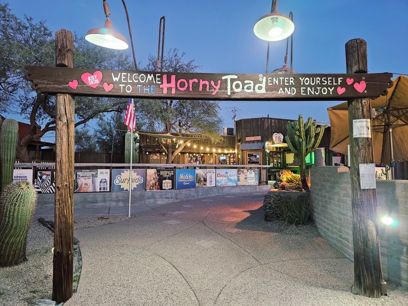 The Horny Toad, Cave Creek