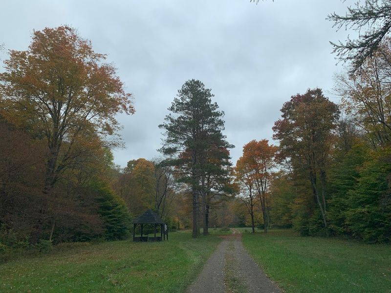 Solitude Is the Park's Most Consistent and Reliable Feature