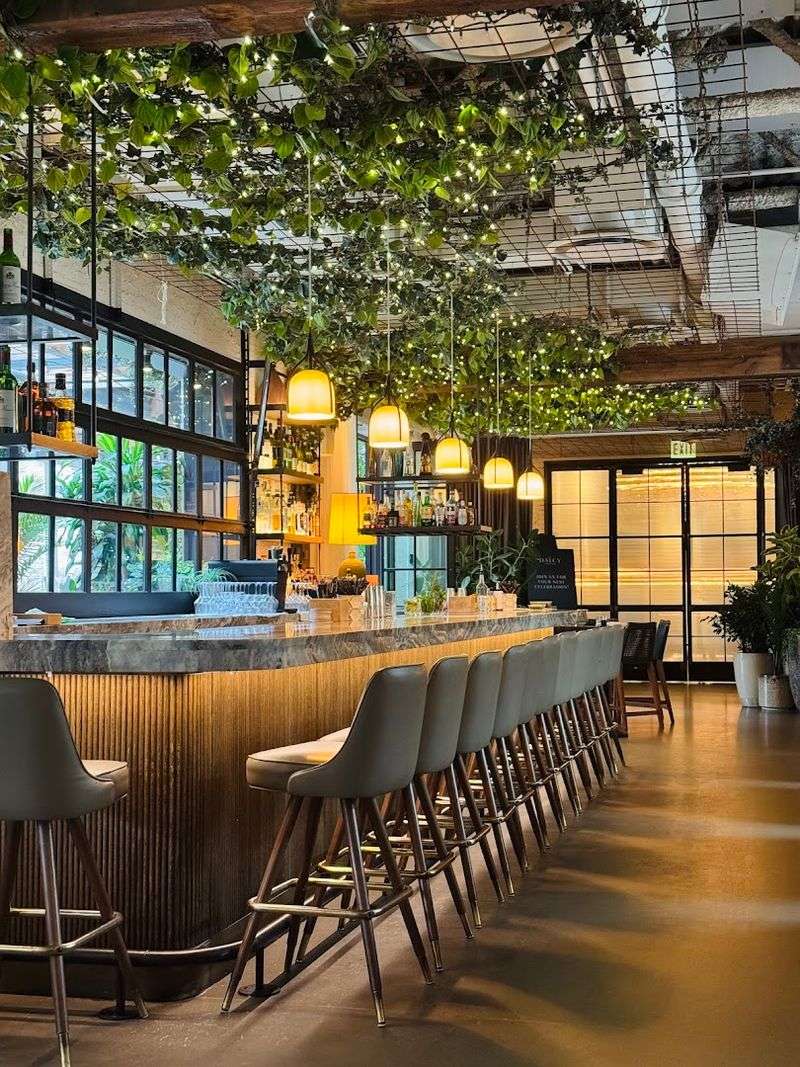 Aba, Chicago