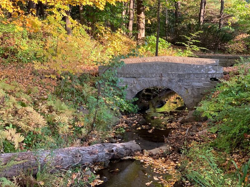 Abbott Park, Farmington